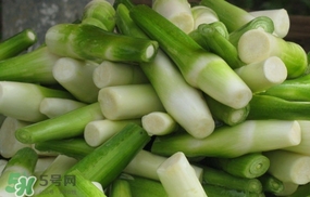 茭白是什么菜？茭白是什么植物