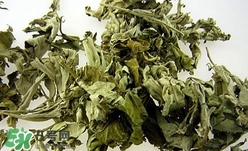 艾葉可以驅(qū)蚊子嗎？艾葉能驅(qū)蚊子嗎