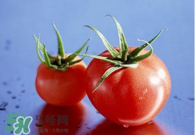 孕婦可以吃生西紅柿嗎？孕期多吃西紅柿的好處