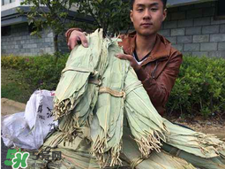 干粽葉怎么煮？干粽葉煮多久？