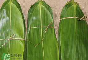 干粽葉要煮嗎？干粽葉到底是泡好還是煮好？