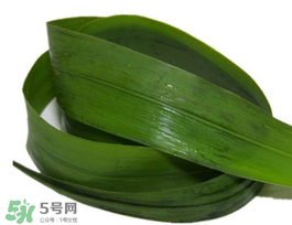 粽葉有幾種？粽葉哪種好？