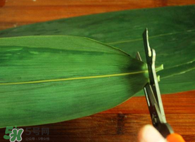 粽葉是干的好還是新鮮的好？干棕葉好還是新鮮棕葉好？