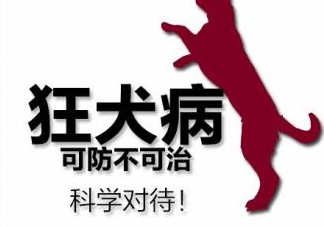 狂犬病會傳染嗎？狂犬病會學(xué)狗叫嗎