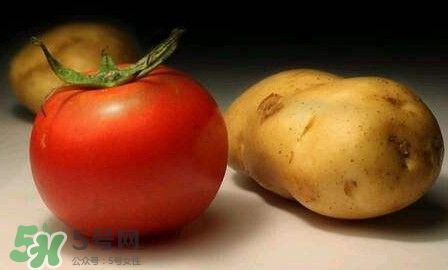 西紅柿能和土豆一起吃嗎？土豆可以和西紅柿一起吃嗎