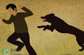 狂犬病疫苗什么時(shí)候打？狂犬病潛伏期最長(zhǎng)多久