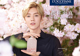 鹿晗代言了歐舒丹嗎？歐舒丹的代言人是鹿晗嗎？