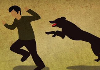 狂犬病能治好嗎？狂犬病的早期癥狀