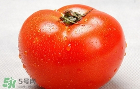 西紅柿能和黃瓜一起吃嗎？黃瓜可以和西紅柿一起吃嗎？
