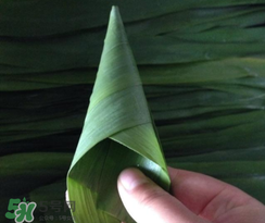 粽子葉能冷凍嗎？粽子葉放冰箱冷藏還是冷凍？