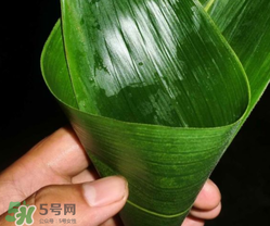 粽子葉能冷凍嗎？粽子葉放冰箱冷藏還是冷凍？