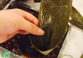 粽子葉怎么煮？煮粽葉的步驟