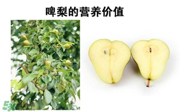 青啤梨要放軟了吃嗎？啤梨放軟了才能吃嗎？