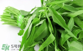 空心菜可以放冰箱嗎？空心菜能在冰箱放幾天