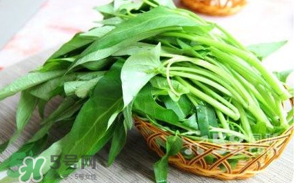 空心菜能和蝦一起吃嗎？蝦可以和空心菜一起吃嗎