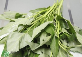 空心菜可以生吃嗎？空心菜能生吃嗎