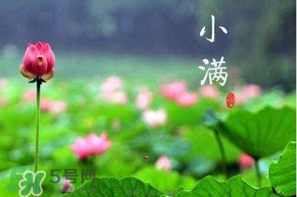 節(jié)氣小滿大滿是什么意思？24節(jié)氣為什么沒有大滿