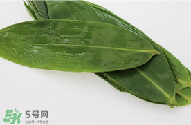 新鮮粽葉怎么處理？新鮮粽子葉怎樣處理？
