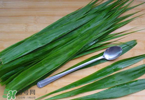 粽葉是蘆葦葉嗎？粽葉和蘆葦葉的區(qū)別