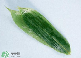 箬葉可以包粽子嗎？箬葉怎么包粽子？