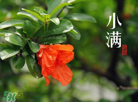 ?小滿可以回娘家嗎？?小滿能回娘家嗎？