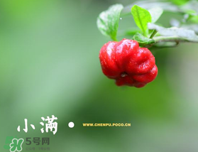 ?小滿可以回娘家嗎？?小滿能回娘家嗎？