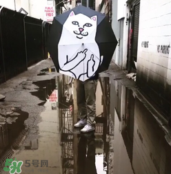 ripndip是什么牌子？ripndip是什么檔次？
