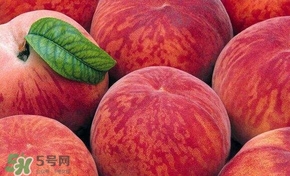 桃子和西瓜一起吃會(huì)中毒嗎？桃子和西瓜能一起吃嗎？