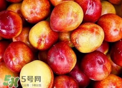 桃子的種類有哪些？哪種桃子最好吃？