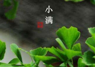 ?小滿可以回娘家嗎？?小滿能回娘家嗎？