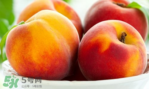 桃子的種類有哪些？哪種桃子最好吃？