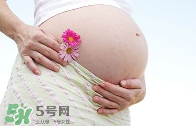 懷孕四個(gè)月需要做什么檢查？懷孕四個(gè)月胎兒圖