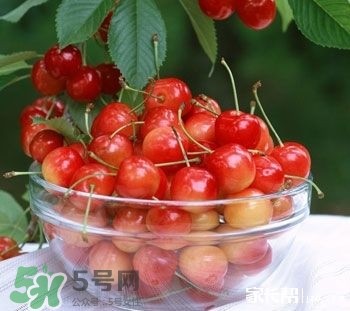 櫻桃是熱性還是涼性？櫻桃能多吃嗎？
