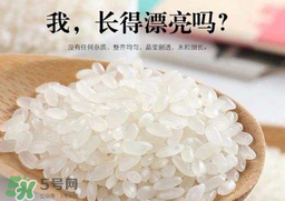 大米可以包粽子嗎？包粽子大米要泡多久？