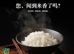 大米可以包粽子嗎？包粽子大米要泡多久？