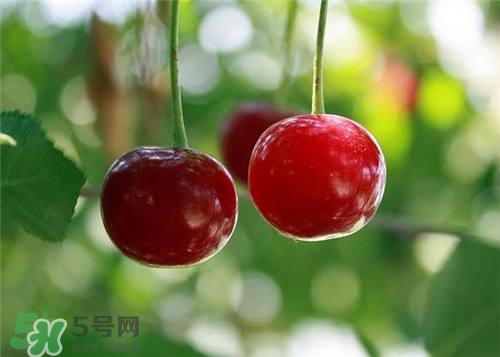 哺乳期能吃櫻桃嗎？哺乳期吃櫻桃寶寶會(huì)上火嗎？