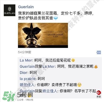 嬌蘭和嬌蘭佳人一樣嗎？嬌蘭和嬌蘭佳人什么聯(lián)系？