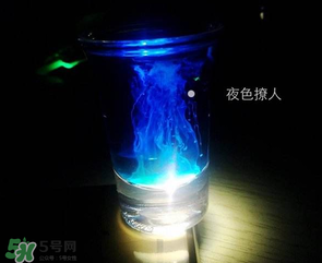 僵尸雞尾酒配方是什么？僵尸雞尾酒配方做法