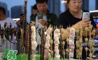 鱷魚肉價格多少錢一斤？吃鱷魚犯法嗎？