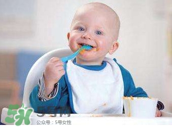 寶寶幾個月可以吃肉松？寶寶多大可以吃肉松