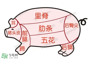 后臀尖多少錢一斤？豬后臀尖在哪？