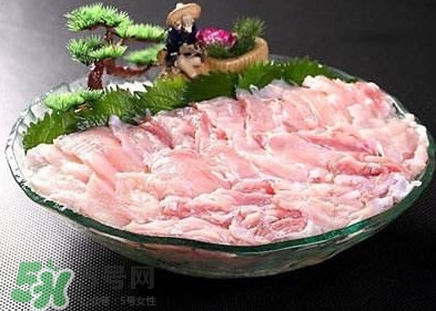 鱷魚肉是發(fā)物嗎？鱷魚肉是不是發(fā)物