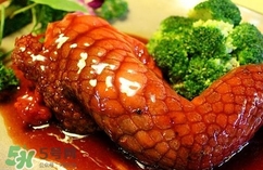鱷魚肉是寒性的嗎？ 鱷魚肉是寒性還是溫性？
