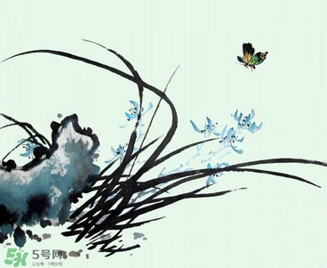 空谷幽蘭是什么書(shū)？空谷幽蘭講的是什么？