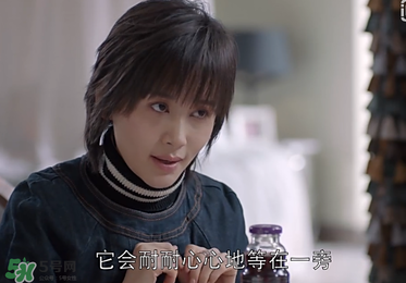 蒼蠅粉是什么意思？蒼蠅粉是什么東西？