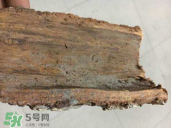 安哥拉樹皮的功效 安哥拉樹皮怎么用？