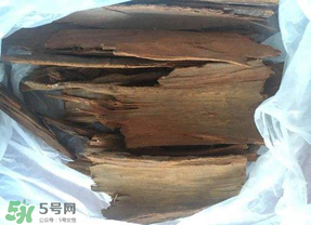 安哥拉樹皮能天天吃嗎？安哥拉樹皮天天吃可以嗎？