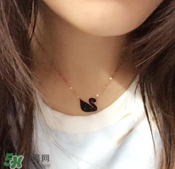施華洛世奇黑天鵝是什么材質(zhì)？施華洛世奇黑天鵝是水晶嗎？