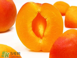 杏子幾月成熟？杏子什么時(shí)候成熟？