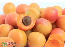 杏子一天吃幾個？杏子一次可以吃多少？